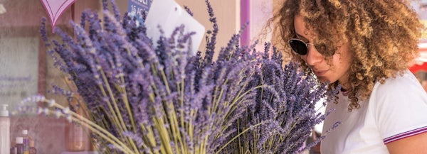 LAVANDER TOUR - MORNING header image