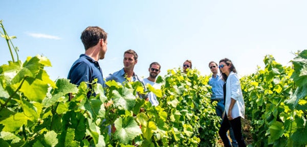 MORNING CHAMPAGNE AND FAMILY GROWERS header image