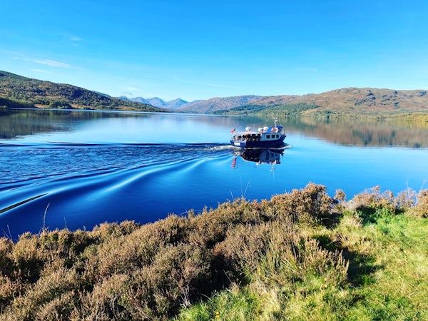 GOAT ICE CREAM TOUR header image